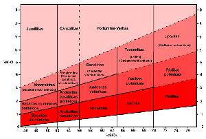 Figura 1: Clasificacin de las rocas del sureste espaol en funcin de su contenido en  K2O y  SiO2. Segn Lpez Ruiz y Rodrguez Badiola (1980)