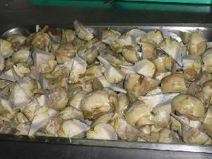Alcachofas peladas, troceadas y guisadas