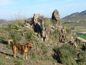 La fuerza del ascenso del magma fue tan grande que con l salieron a la superficie estos grandes xenolitos de rocas metamrficas