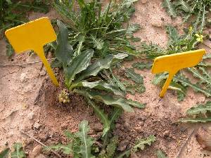 Los Mart�nez del Puerto