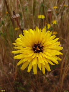 San Jos� de la Monta�a