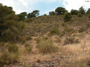 Sierra Espu�a