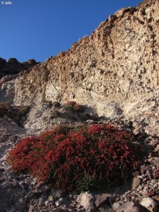 Faro de Cabo de Gata