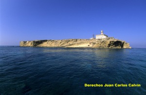 Figura 2. La isla de Alborn es una de las Reservas Marinas mediterrneas