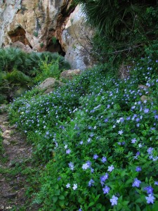 Fuente de los Belones