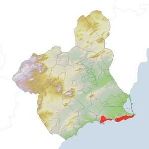 Mapa de la distribuci�n principal de Orchis papilionacea en la Regi�n de Murcia