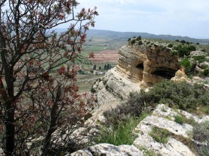 Detalle del la cima del Calar de las Cuevas, coronada por calizas bioclstiscas marinas depositadas en el antiguo Estrecho Norbtico, que comunicaba el Atlntico con el Mediterrneo 