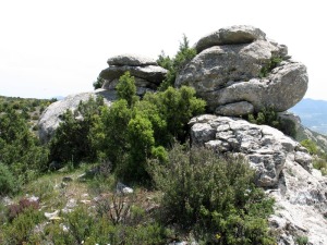 La estratificacin y fcil disolucin de las calizas bioclsticas marinas han dado lugar a algn relieve residual al norte del Calar, a un paisaje exokrstico 