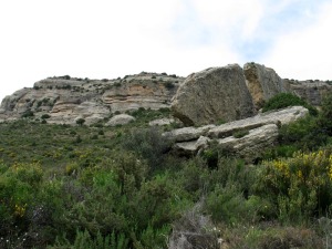 Los procesos de desprendimientos tambin son causantes de la erosin y retroceso de este escarpe del Campo de San Juan. En Zan, un gran bloque que en su cada se fragment en dos 