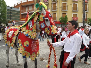 Caballo concursante de la Pea Almanzor 