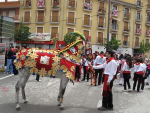 Caballo concursante de la Pea Almanzor 