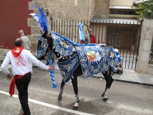 Caballo concursante de la Pe�a Artesano 