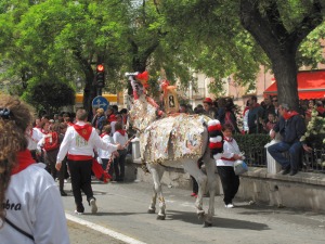 Caballo concursante de la Pe�a El Zambra 