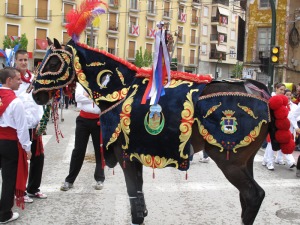 Caballo concursante de la Pe�a Gacel 