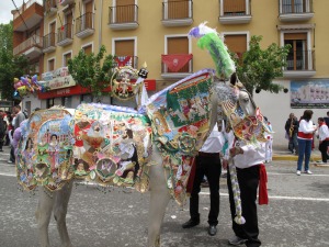 Caballo concursante de la Pe�a Rebelde 
