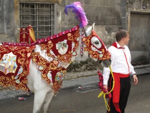 Caballo concursante de la Pe�a Santa Cruz 
