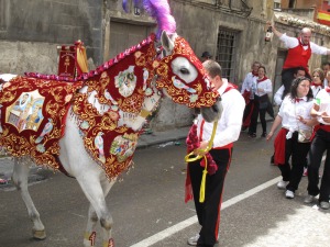 Caballo concursante de la Pea Santa Cruz 