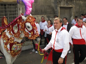Caballo concursante de la Pe�a Santa Cruz 