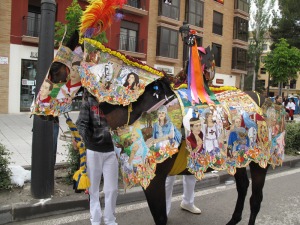 Caballo concursante de la Pe�a Silencio 