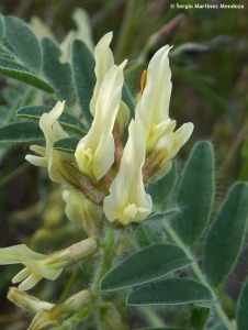 Puertos de Santa B�rbara