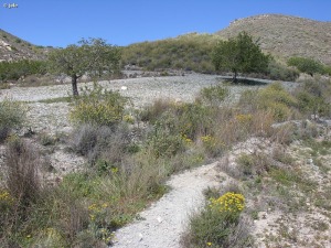 Cabezos del Peric�n