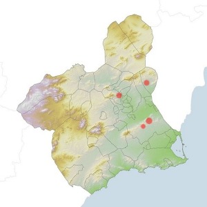 Mapa de distribuci�n del collej�n de los Garres (Moricandia moricandioides subsp. pseudofoetida) en la Regi�n de Murcia