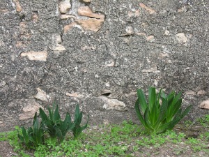 Los Mart�nez del Puerto (Murcia)