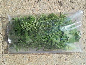 El Ca�arico (Alhama de Murcia)