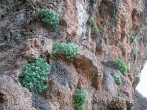 Umbr�a de los Lages (Algezares)