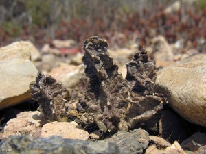 Puerto de Mazarr�n