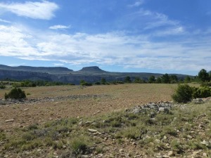 Campos cerealistas en margas del Eoceno de La Loma. Escarpe de la cabecera de Hondares y areniscas del Puntal de Crdenas y Molata de Charan,   