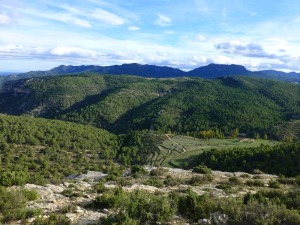 En el centro el cerro de Las Lomas. Forma parte de la charnela del antiforme de la Muela.  Aparecen dolomas cretcicas y sobre ellas margas y calizas del Palegeno. 