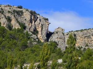 La erosin, la disolucin y desprendimientos, moldea la roca. Geoforma que recuerda la cabeza de un animal.  