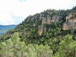 Detalle de la disolucin en pinculos de las dolomas cretcicas de curso medio del barranco Hondares.  