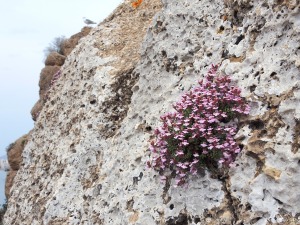 Castillo de �guilas