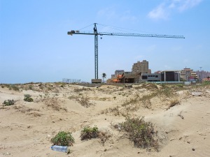 Vista hacia el sur de las dunas donde se localiza la principal poblaci�n murciana de zanahor�a marina (Echinophora spinosa), en junio de 2017