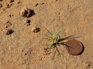 Parque Regional de Calblanque