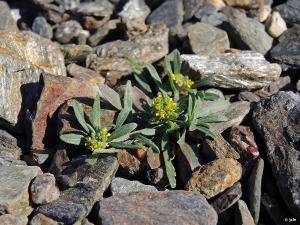 Parque Regional de Calnegre