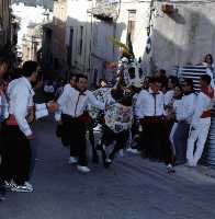 Fiestas de los Caballos del Vino (Caballos del Vino - Fiestas de la Stma. y Vera Cruz - Caravaca de la Cruz) 