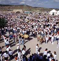 Fiestas de los Caballos del Vino (Caballos del Vino - Fiestas de la Stma. y Vera Cruz - Caravaca de la Cruz) 