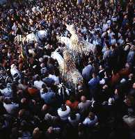 Parlamento entre el Rey Cristiano y el Sult�n Moro, Simulacro de Combate, Ba�o de la Cruz y Bendici�n de las Aguas (Moros y Cristianos - Fiestas de la Stma. y Vera Cruz - Caravaca de la Cruz) 