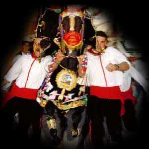 Caballos del Vino - Fiestas de la Sant�sima y Vera Cruz - Caravaca de la Cruz