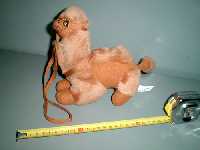 camello (Al pulsar se abrir� la foto en una nueva ventana.)