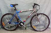 bicicleta de monta�a (Al pulsar se abrir� la foto en una nueva ventana.)