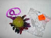 yoy� ara�a (Al pulsar se abrir� la foto en una nueva ventana.)