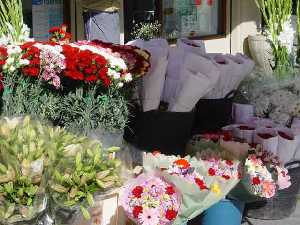 Flores t�picas del D�a de Todos los Santos. Mercadillos y plazas de la Regi�n