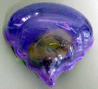 masilla (Al pulsar se abrir� la foto en una nueva ventana.)