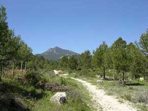 Moratalla Sierra