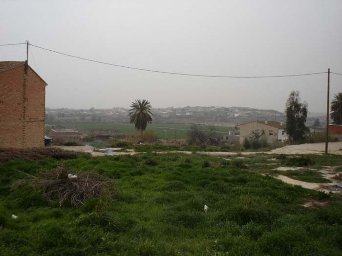 Imagen de la huerta de La Algaida donde pose�a propiedades agr�colas 
