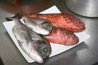 Pescado de roqueo y doradas [Recetas_Caldero] (Al pulsar se abrir� la foto en una nueva ventana.)